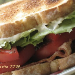 Tomato Sandwich